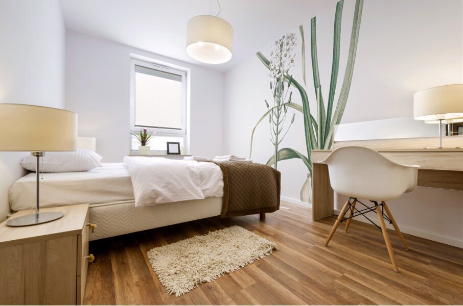 Star-of-Bethlehem illustration  Mural print