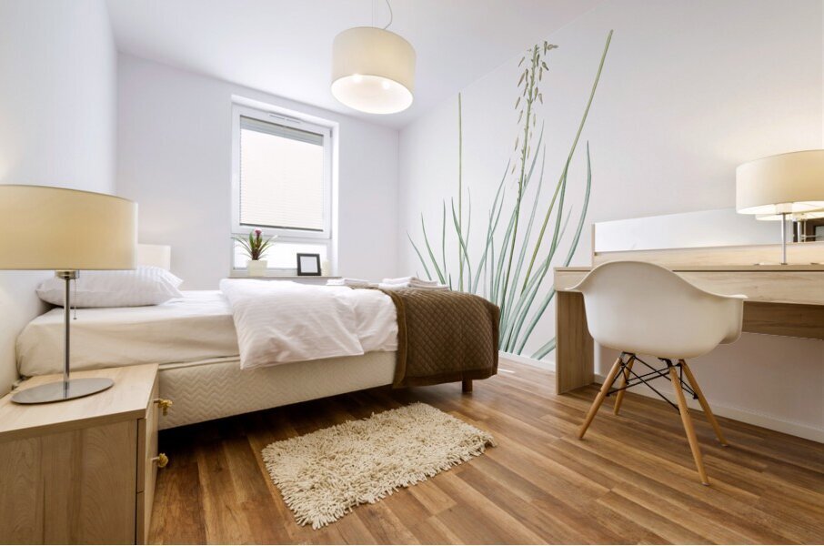 Bulbine illustration  Mural print