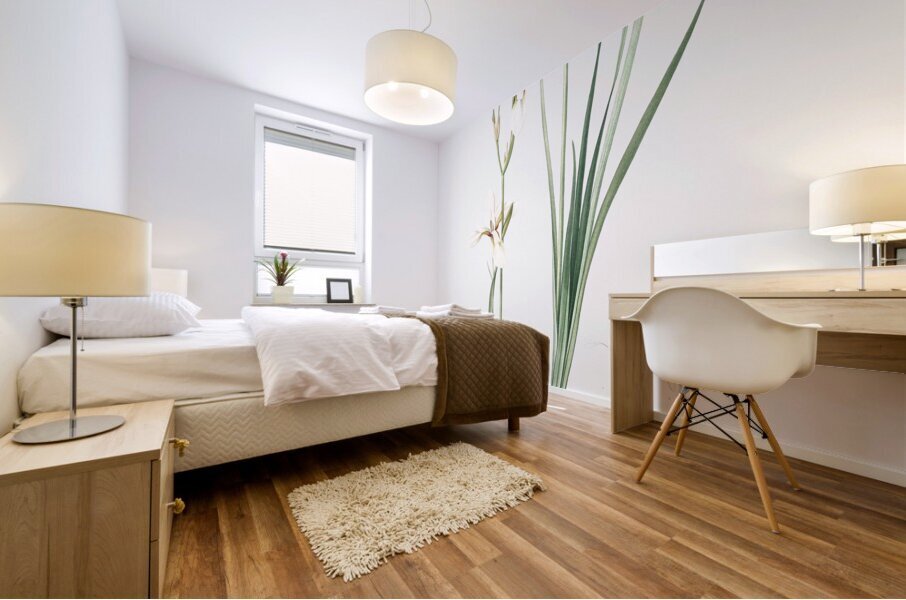 Broadleaf wild leek illustration  Mural print