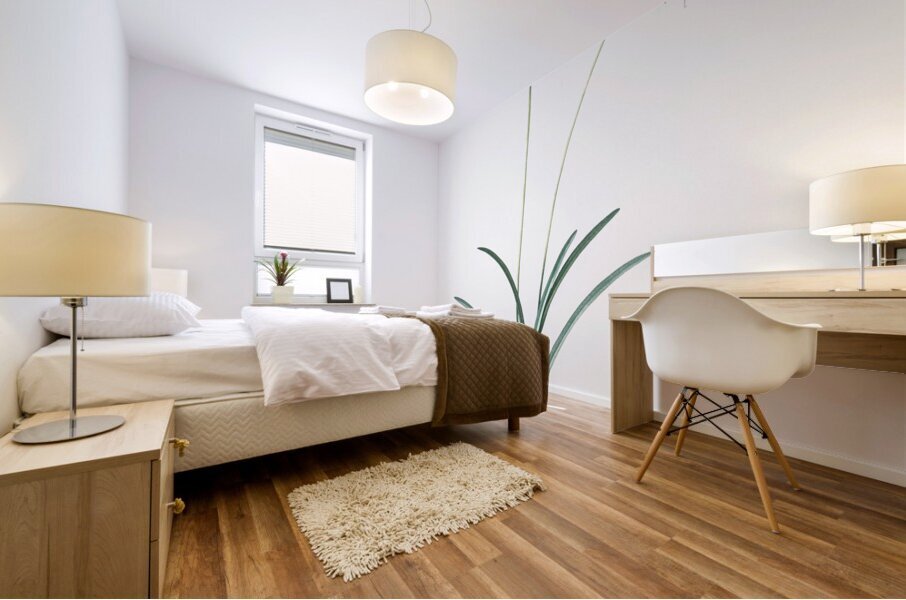 Nerine illustration  Mural print