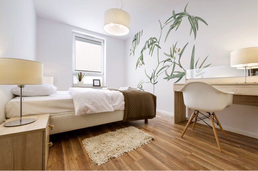 Bridal creeper illustration  Mural print