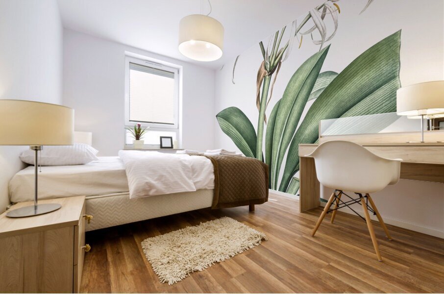 Spider lily illustration  Mural print