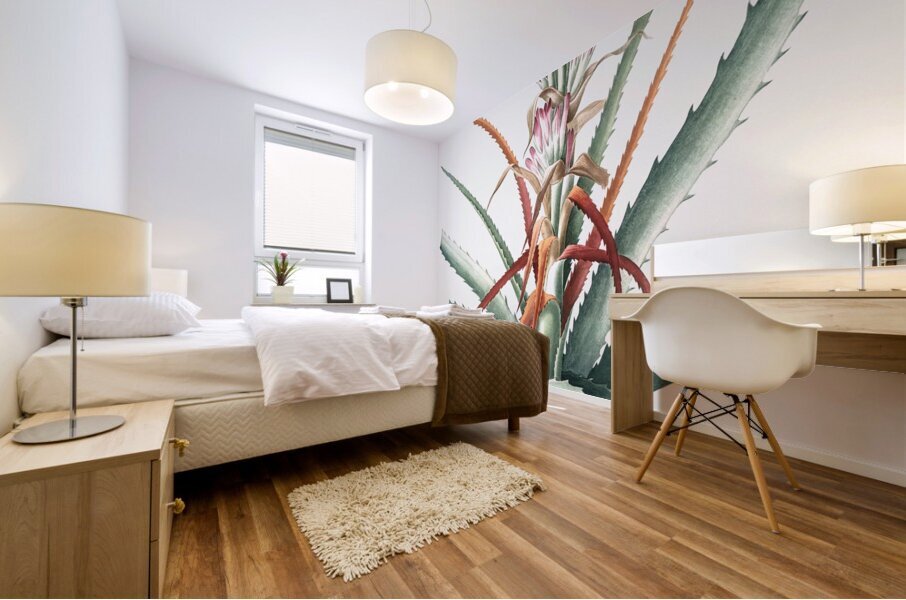 Barbary nut illustration  Mural print