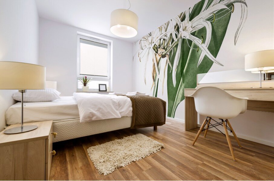 Green-tinge spiderlily illustration  Mural print