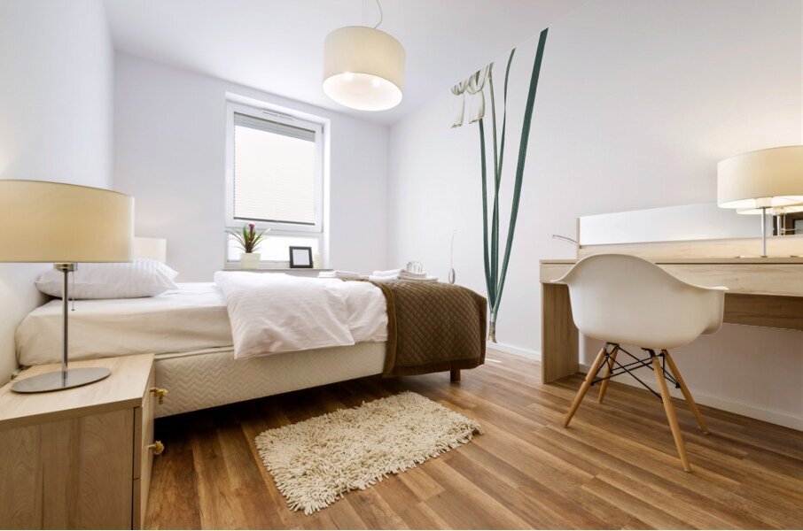 Green-tinge spiderlily illustration  Mural print