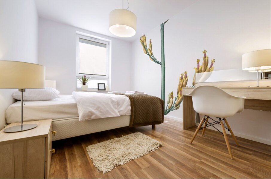 Asparagus fern illustration  Mural print