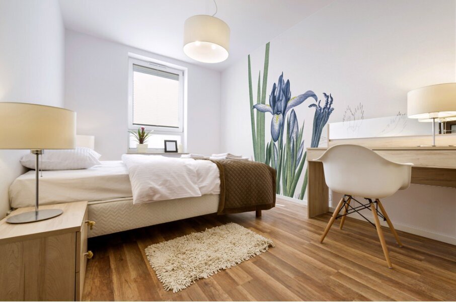 Milky iris illustration  Mural print