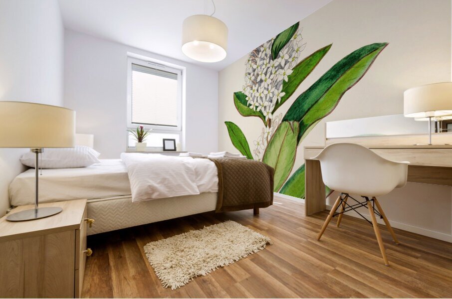 Acokanthera Spectabilis Mural print