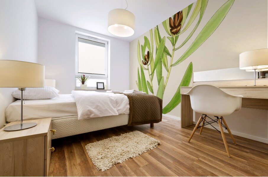 Leucadendron Stokoei Mural print