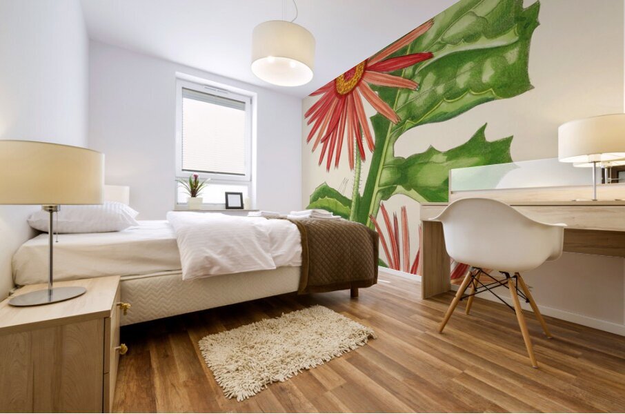 Gerbera Jameson Mural print