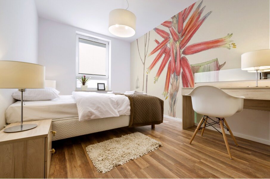 Aloe Pretoriensis Mural print