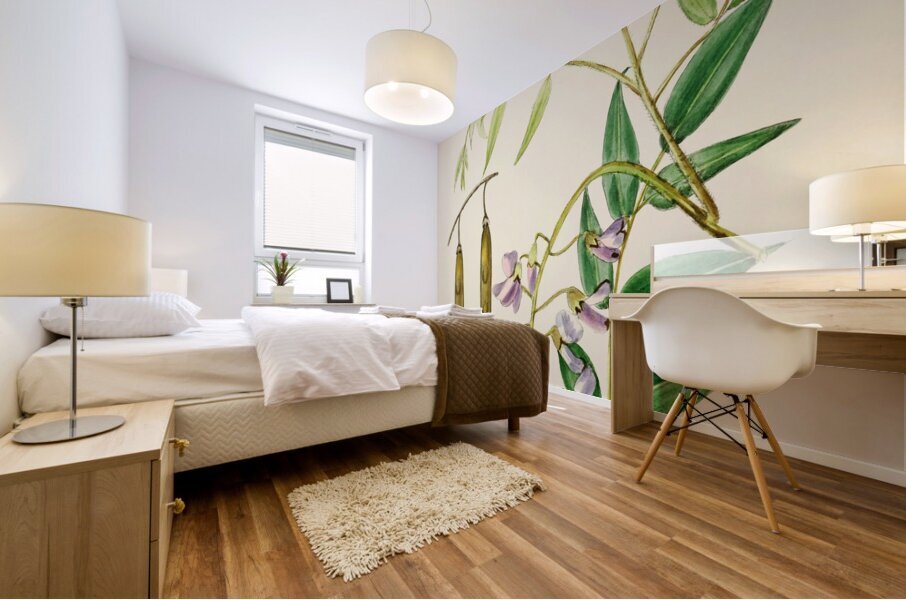 Bolusanthus Speciosus Mural print