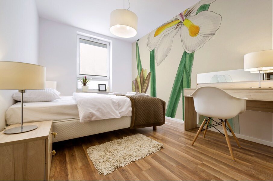 Moraea Iridioides Mural print