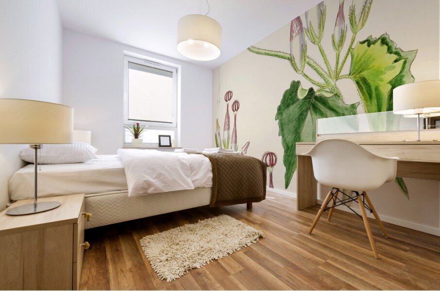 Ceropegia Meyeri Mural print