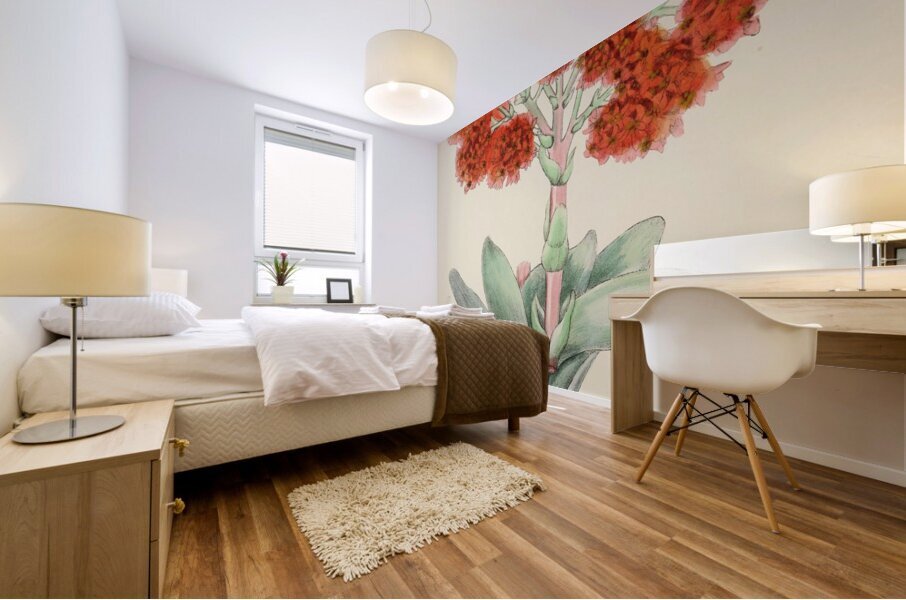 Crassula Falcata Mural print