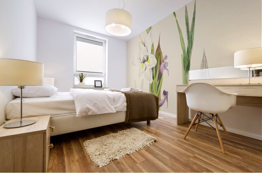 Gladiolus Rehmanni Mural print