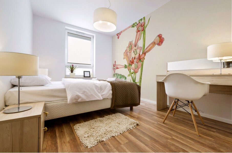 Streptocarpus Dunnii Mural print