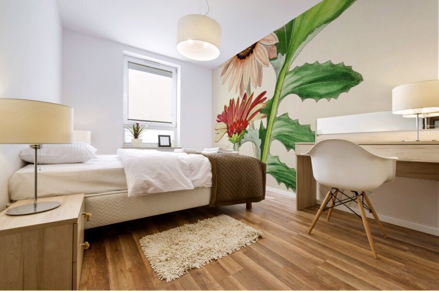 Arctotis Decurrens Mural print