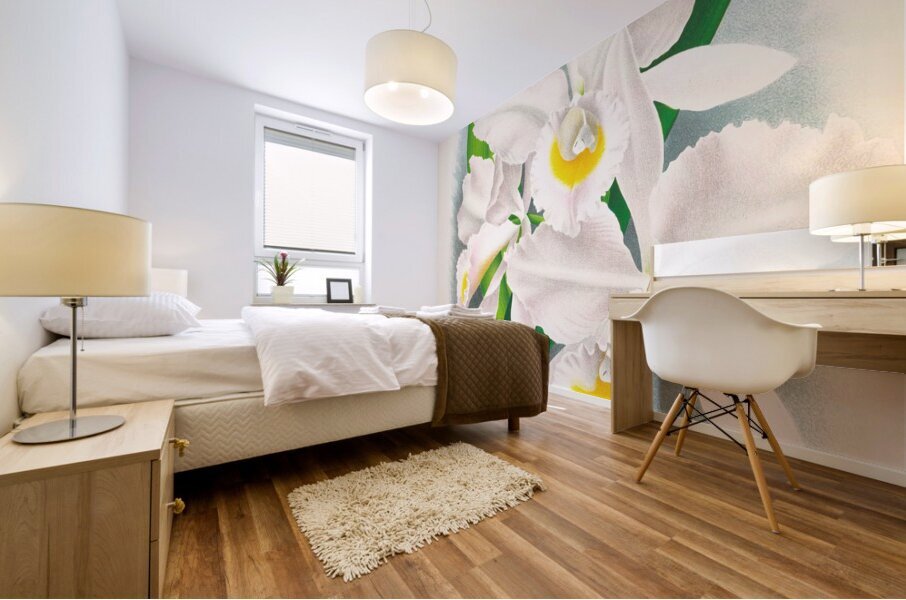 Cattleya Trianae var Pallida  Mural print