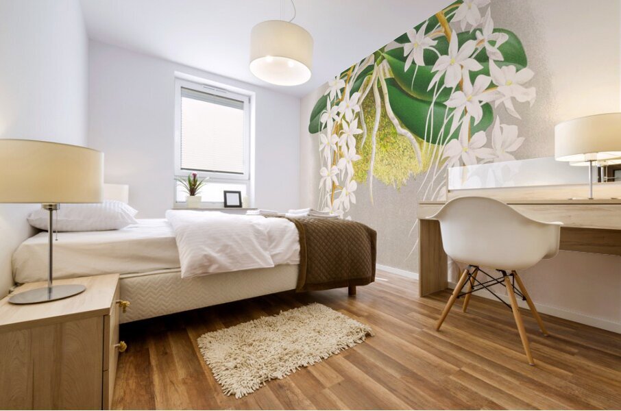 Angraecum ellisi  Mural print