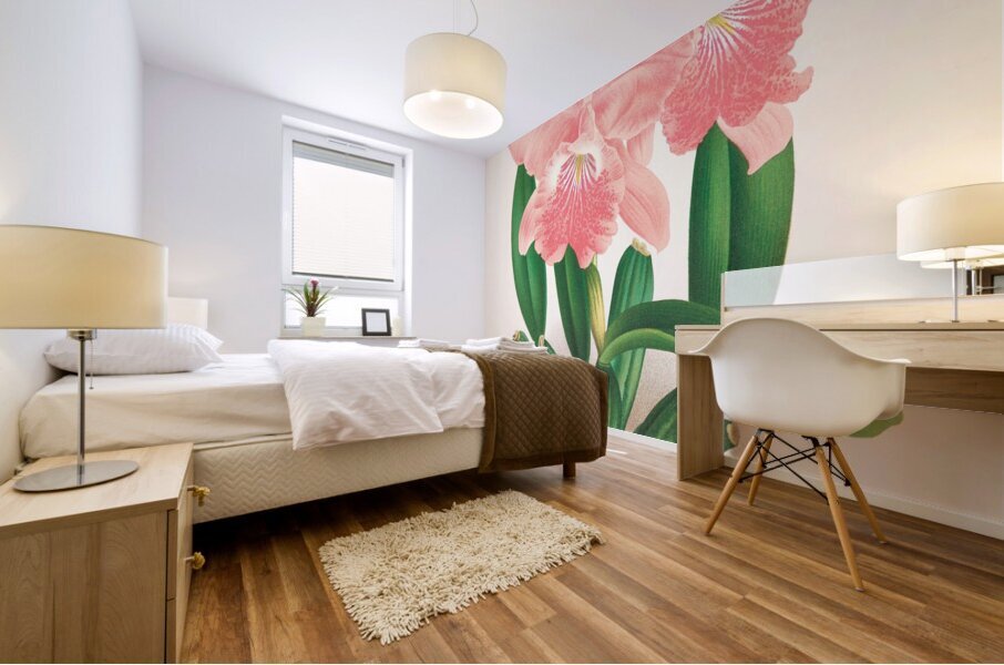 Cattleya Malouana Mural print