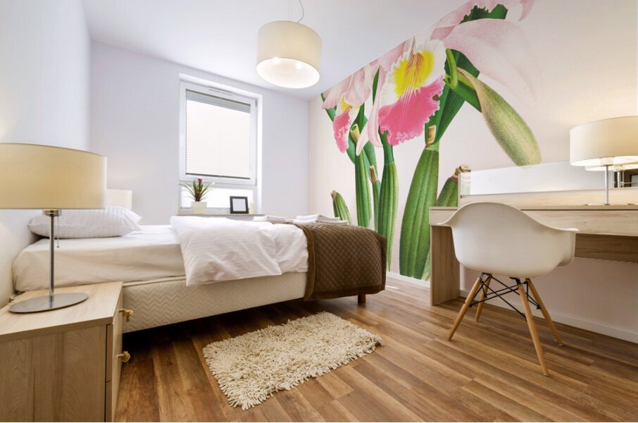 Cattleya Mendeli Mural print