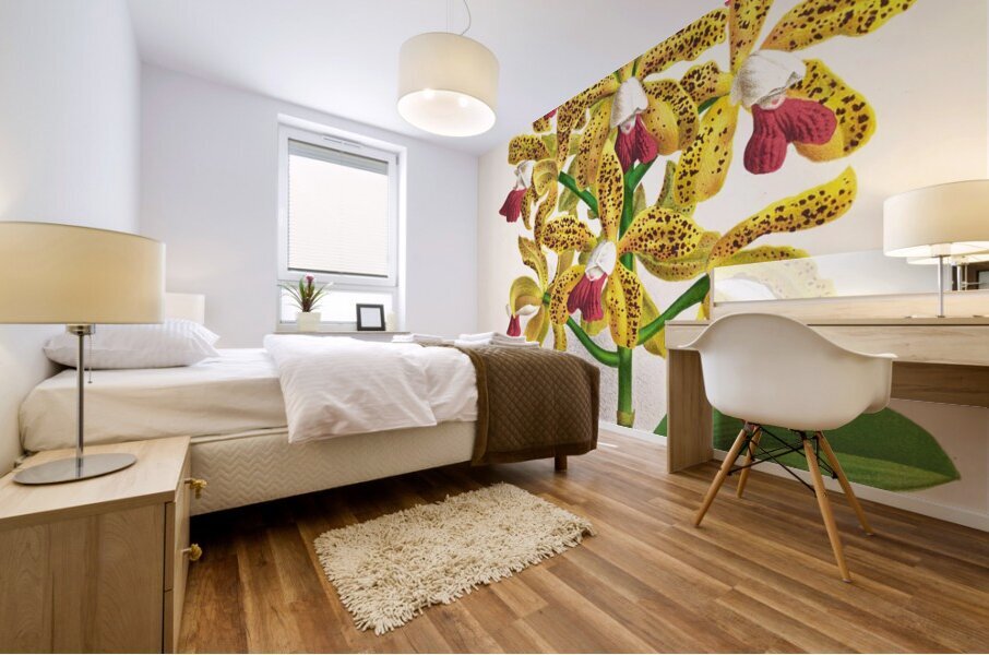 Cattleya guttata Mural print