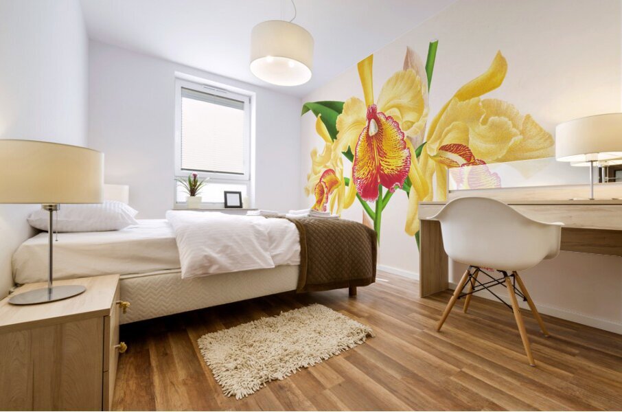 Cattleya Aurea Mural print