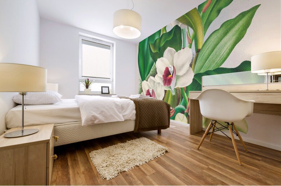 Bifrenaria harrisoniae  Mural print