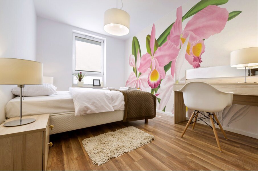 Cattleya eldorado Mural print