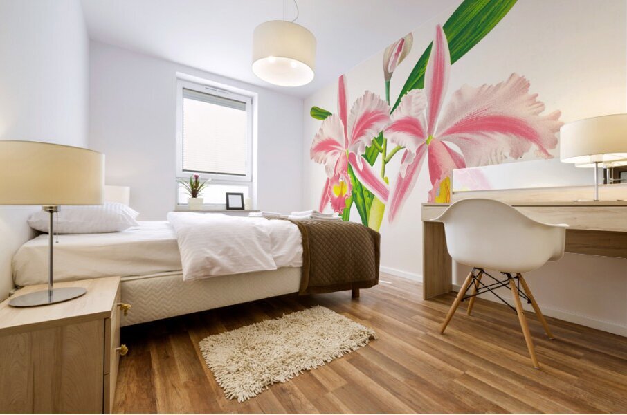 Cattleya Trianae var striata Mural print