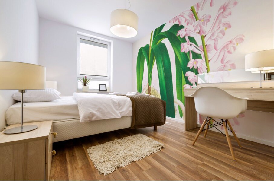 Aerides augustianum Mural print