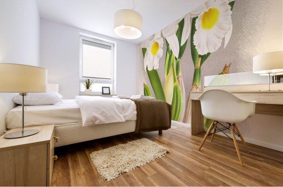 Cattleya Trianae Mural print