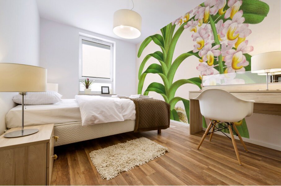 Aerides Reichenbach Mural print