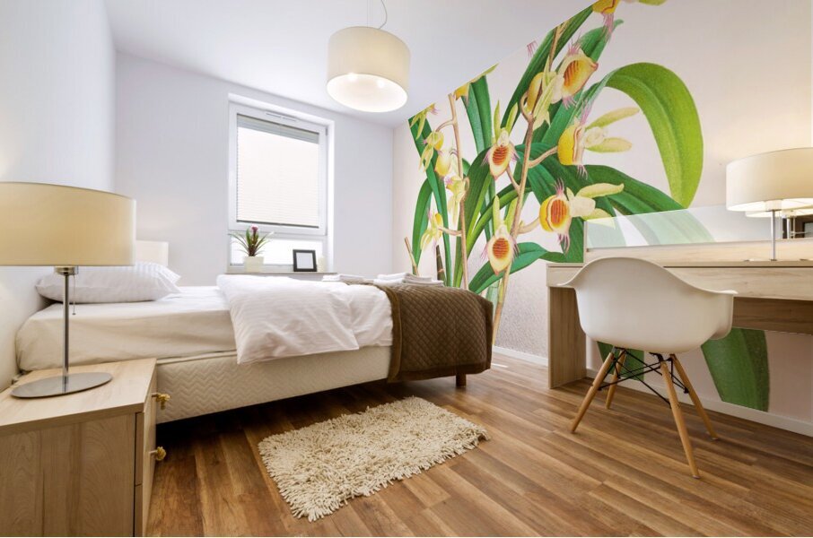 Catasetum Discolor Mural print