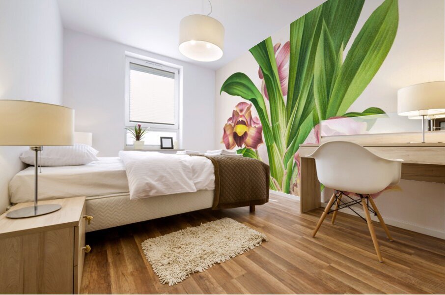 Bollea pulvinaris Mural print