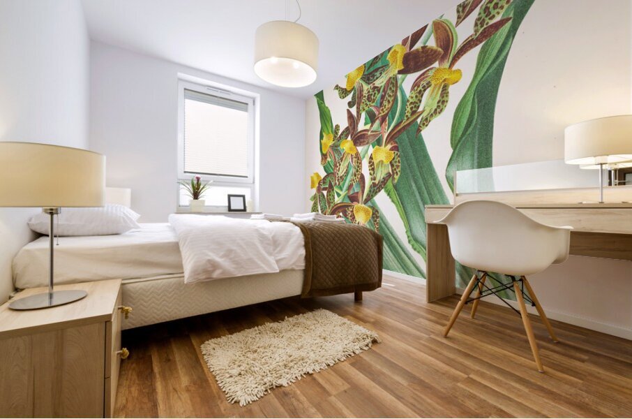 Catasetum rodigasianum Mural print