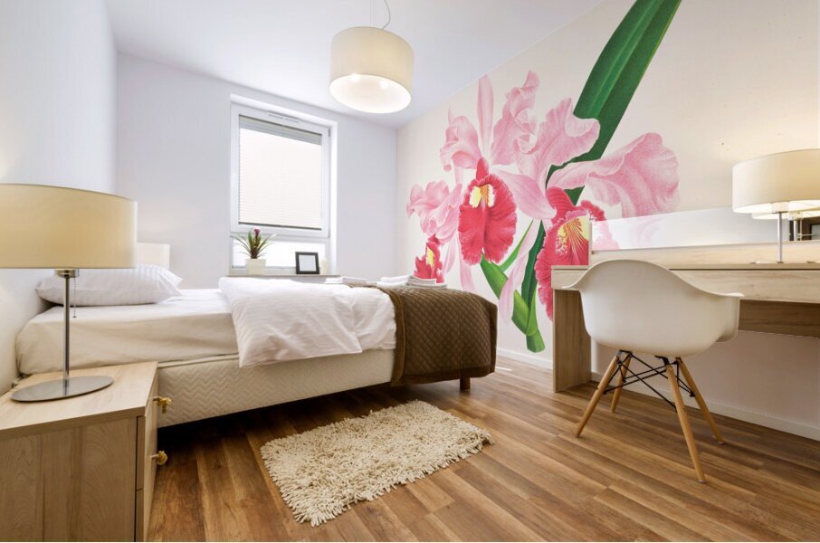 Cattleya gigas Mural print