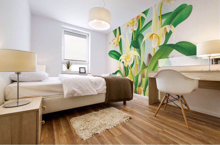 Bolbophyllum lobbi Mural print