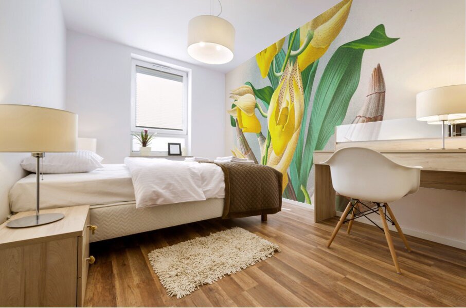 Catasetum macrocarpum Impression murale