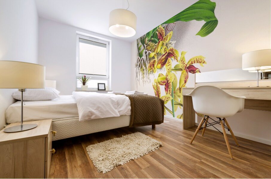 Catasetum galeritum Mural print