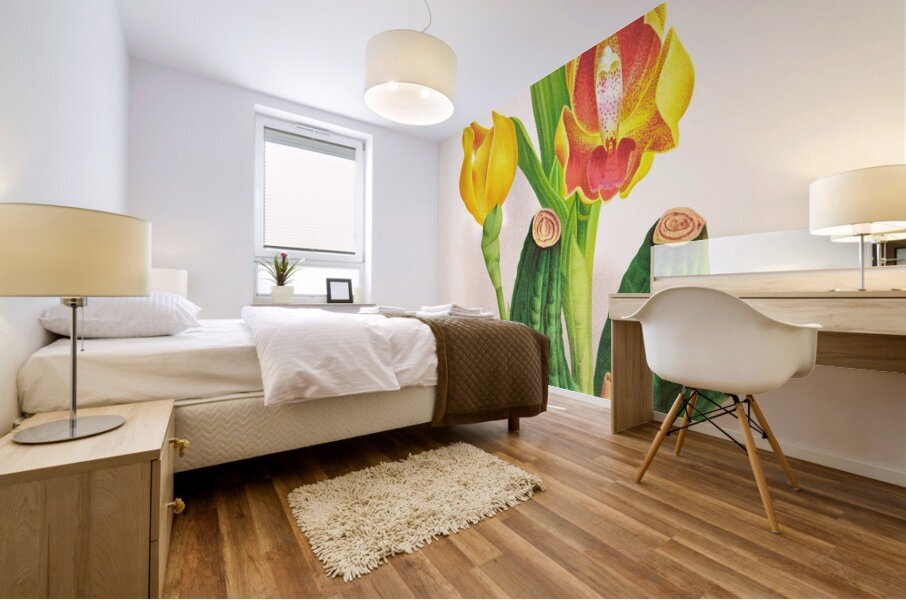 Anguloa Ruckeri var media Mural print