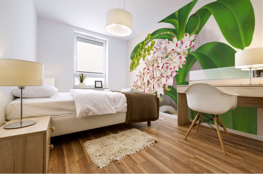Aerides Odoratum Mural print