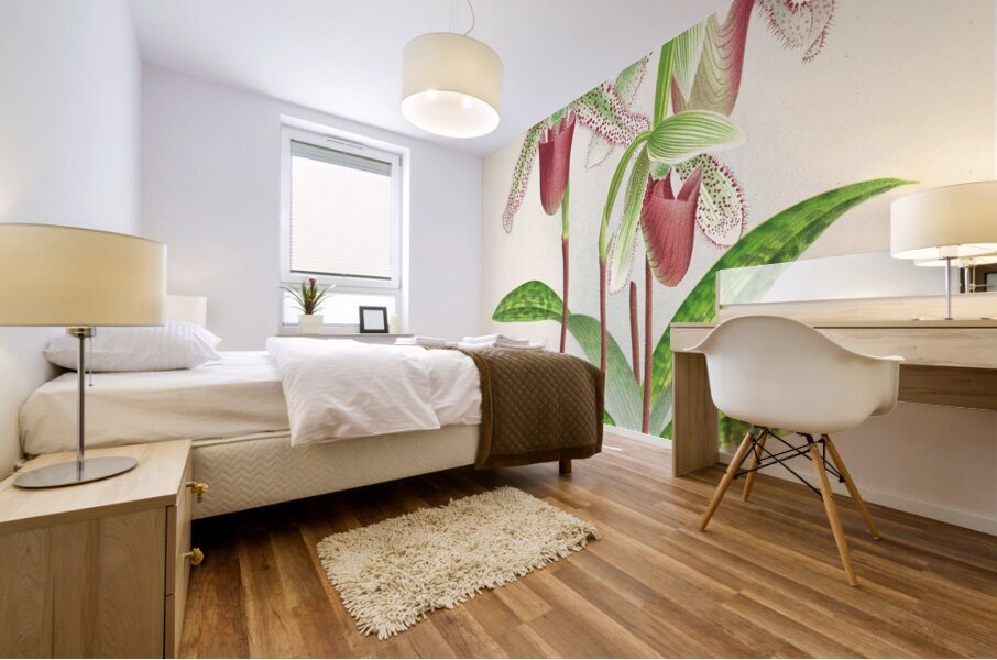 Cypripedium superbiens  Mural print