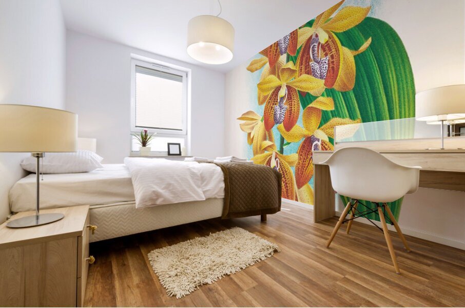 Houlletia brocklehurstiana  Mural print