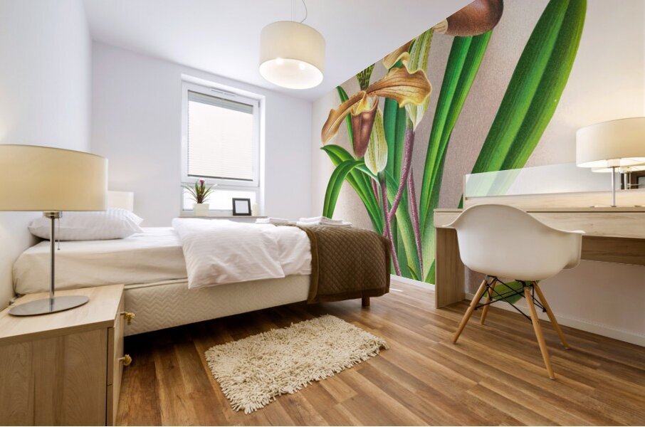 Cypripedium nitens Mural print