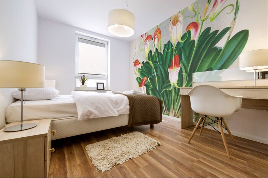 Masdevallia reichenbachiana  Mural print