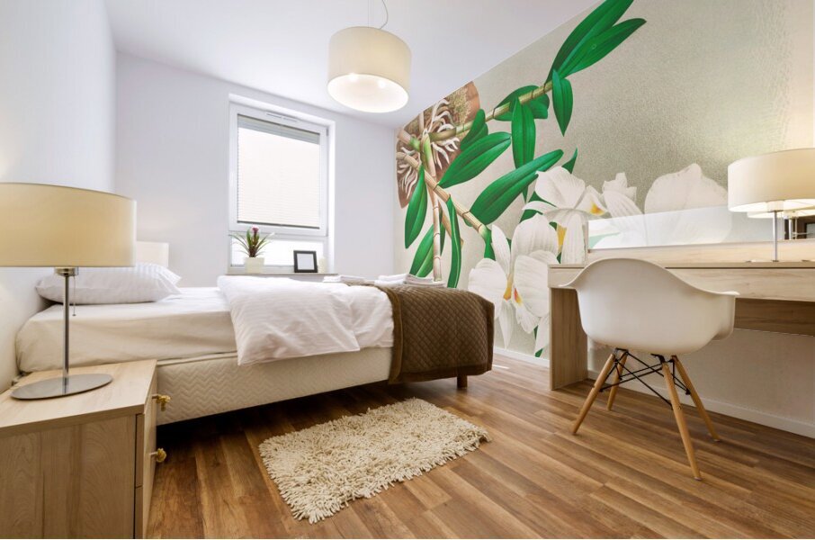 Dendrobium infundibulum Mural print