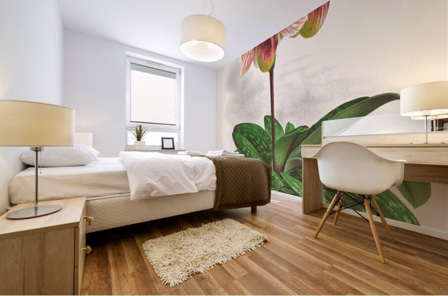 Cypripedium tessellatum Mural print