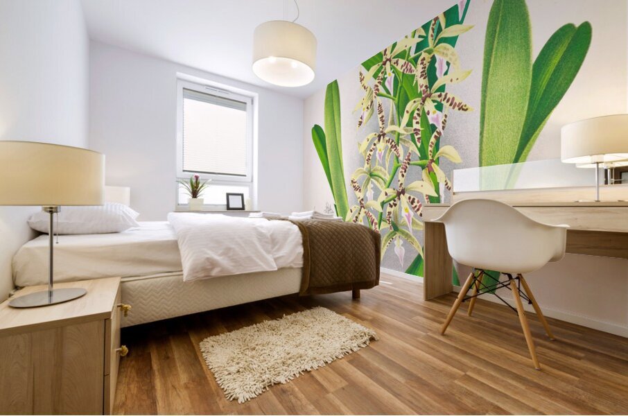 Epidendrum prismatocarpum Mural print